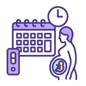 Pregnancy Due Date Calculator